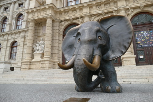 elefant vor den museen