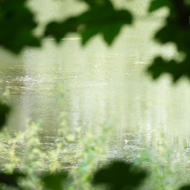 die ihme in linden nord